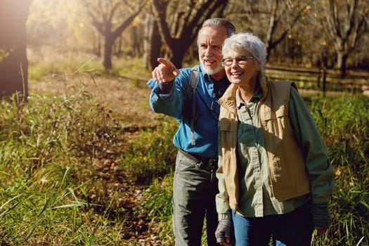 Taking the scenic route to retirement. a happy senior couple exploring nature together.
