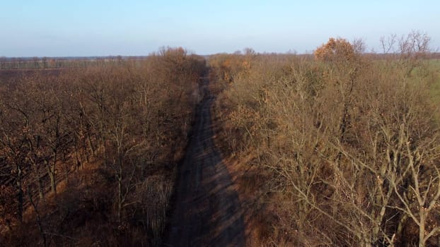 Dirt black road between trees agricultural fields with plowed earth chernozem