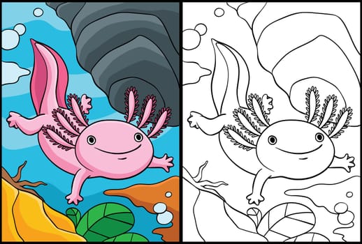 Axolotl Coloring Page Colored Illustration