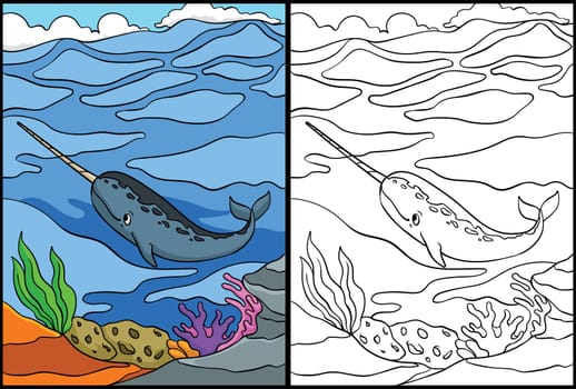 Narwhal Coloring Page Colored Illustration