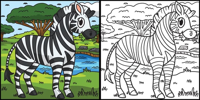 Zebra Coloring Page Colored Illustration