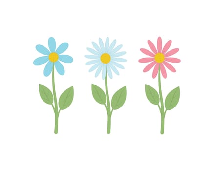 Flower set . Cute wild flower in cartoon style. Chamomile flower. Vector illustration isolated on a white background