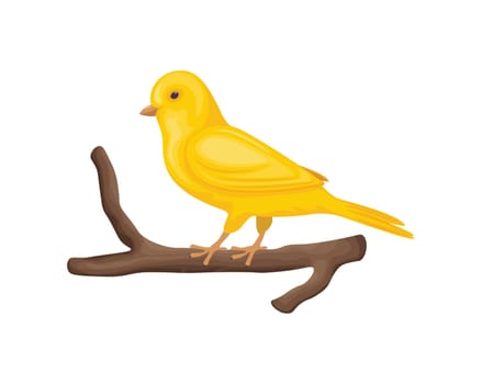 A canary on a branch. A bright yellow canary in cartoon style, sitting on a branch. A songbird. Vector illustration isolated on a white background