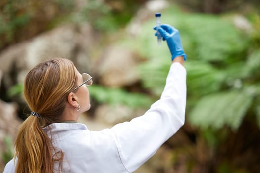 Science, nature and woman with sample for inspection, environmental and ecosystem study. Agriculture, biology and female scientist with test tube in forest for analysis, research and climate change