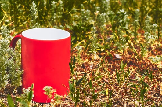 Red ceramic cup on green grass in the park