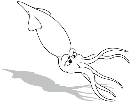 Drawing of a Floating Squid