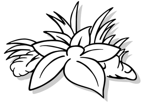 Drawing of a Large Lying Flower in the Grass