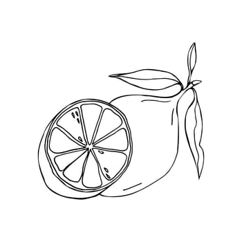 Line art lemon summer fruit. Black ink design, isolate on white background