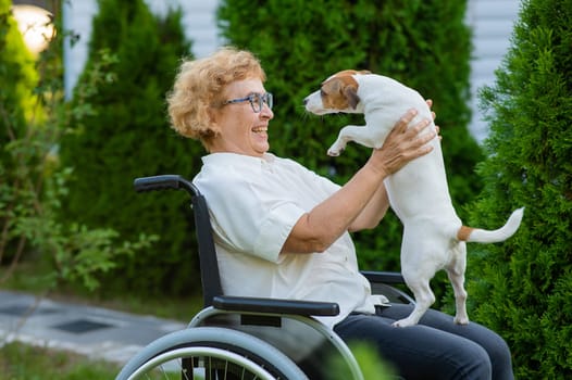 Elderly caucasian woman hugging a jack russell terrier dog while sitting in a wheelchair on a walk outdoors.