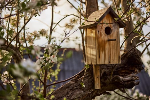 birdhouse hanging on a flowering apple tree