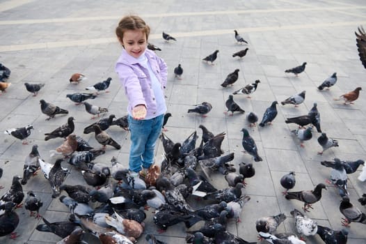 Little child girl feeding pigeons in the town square. Flock of rock doves crowding the street and eating discarded food.