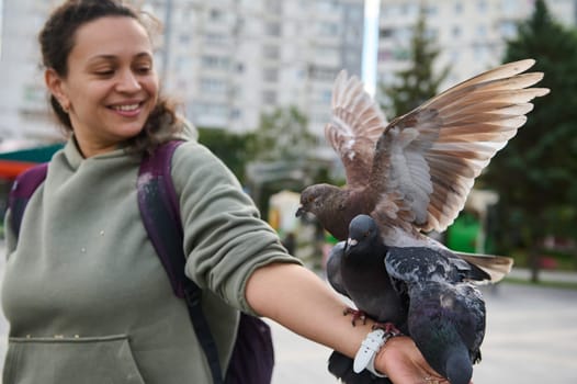 Selective focus on feral doves, rock pigeons on outstretched arm of a smiling positive woman feeding birds in the park