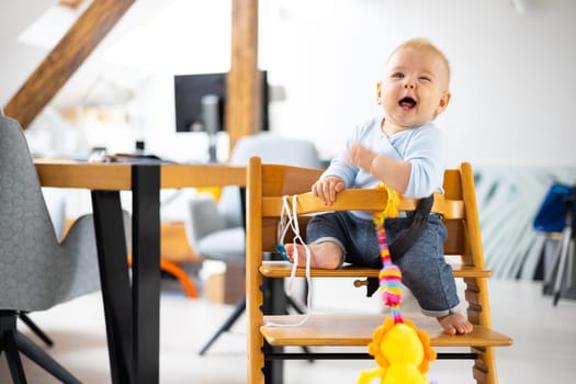 Happy infant sitting and playing with his toy in traditional scandinavian designer wooden high chair in modern bright atic home. Cute baby.