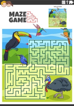 maze game activity with cartoon birds animal characters