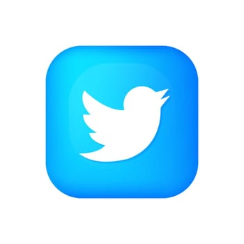 3d vector twitter icon for social media