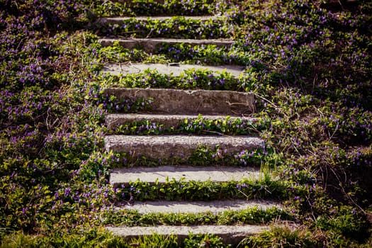 Abandoned staircase overgrown with flowers.