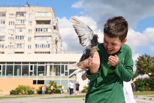 Teenage boy feeding rock pigeons outdoors. The concept of kindness, love and care for animals