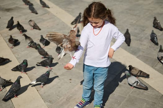 View from above of adorable Caucasian little child girl standing in the square and feeding rock doves on her hand