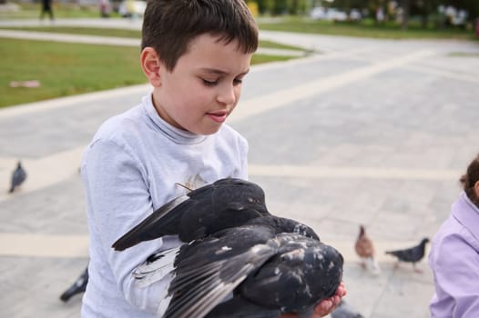 Adorable schoolboy feeding feral pigeons in the city park during family outing. The concept of care, kindness and love for wild animals