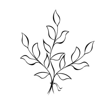 Vector illustration of hand-drawn twigs with leaves
