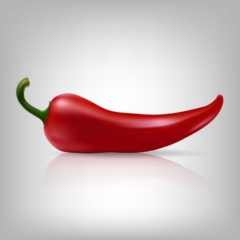 Vector red chilli pepper