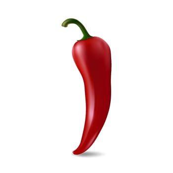 Vector red chilli pepper