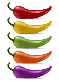 Vector chilli peppers