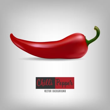 Vector background with red chilli pepper