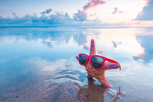 Starfish in sunglasses on beach