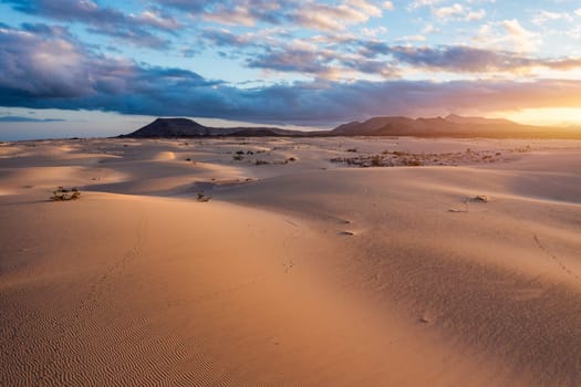 Panoramic high angle aerial drone view of Corralejo National Park (Parque Natural de Corralejo) with sand dunes located in the northeast corner of the island of Fuerteventura, Canary Islands, Spain.
