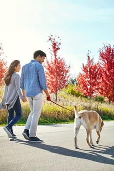 Theres nothing like a recreational walk with our labbie. a loving young couple taking their dog for a walk through the park.