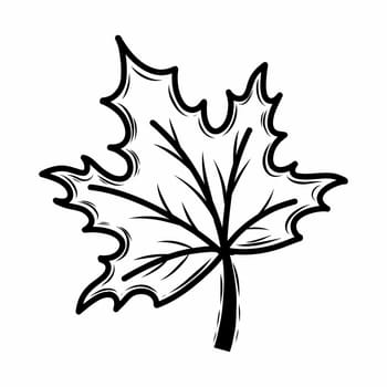 Maple leaf. Vector doodle illustration. Autumn. Postcard decor element. Coloring book for kids.