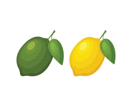 Lemon and lime. Citrus tropical fruits. Lemon and lime with green leaves. Vector illustration isolated on a white background