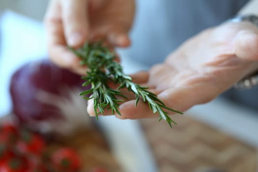 Hand cook and fresh green organic rosemary closeup