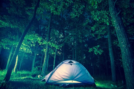 Night camping in foliar forest