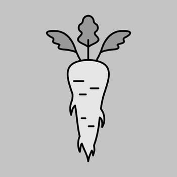 Parsley Root isolated vector icon. Vegetable sign