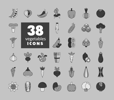 Vegetables outline isolated vector icons set