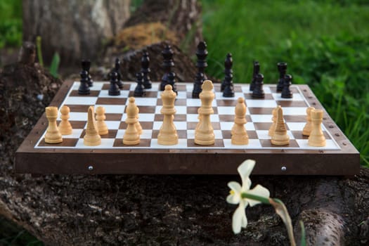 Chess board with chess pieces on tree trunk and green grass.