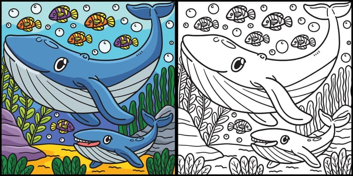 Whale Coloring Page Colored Illustration