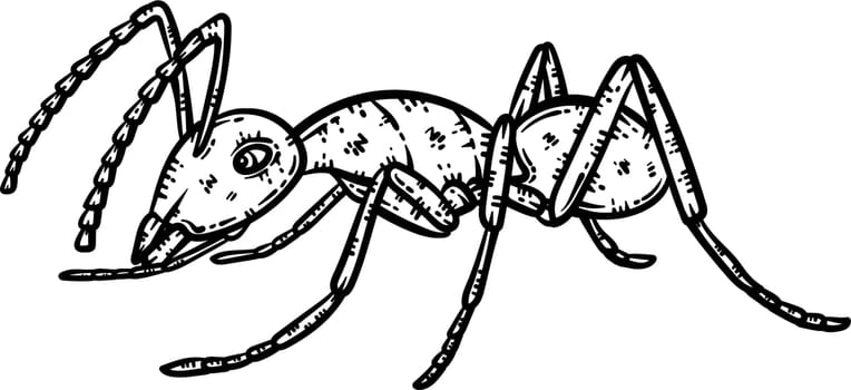 Ant Animal Coloring Page for Adults