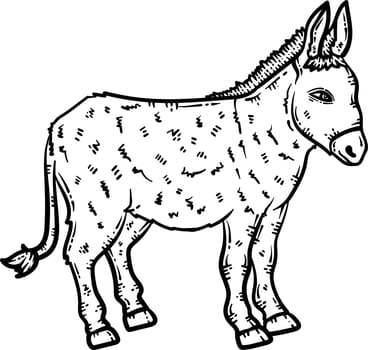 Donkey Animal Coloring Page for Adults