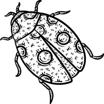 Lady Bug Animal Coloring Page for Adults