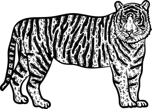 Tiger Animal Coloring Page for Adults