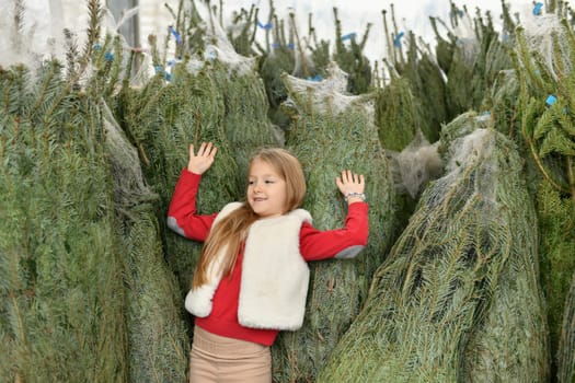 A girl buying a Christmas norman tree in a shop