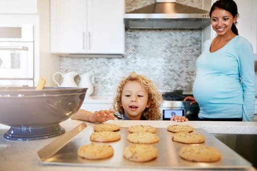 Could this be a whole tray of cookies for me. a little boy reaching out for a freshly baked cookie with his mother watching in the background.