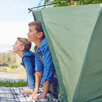 They love camping. two young brothers exiting in their tent.