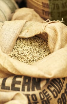 Natural, produce and coffee beans in a burlap sack for rustic storage, import or packing. Production, industry and closeup of white grains of caffeine in a cloth bag for fresh, organic or raw product