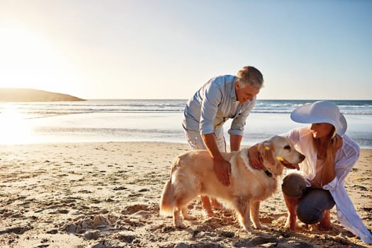 Walking your dog each day is canine care 101. a mature couple spending the day at the beach with their dog.