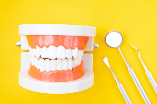 The Dentures model and instrument dental on yellow background.