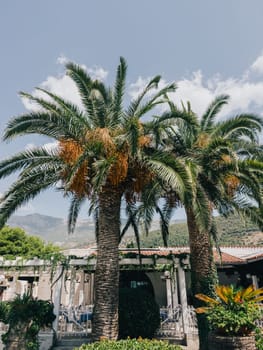 Date palms grow near the building against the backdrop of mountains